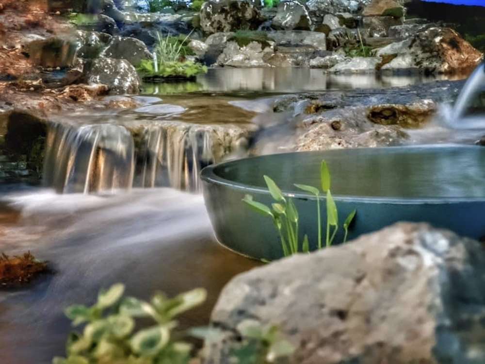 serene waterfalls in backyard pond