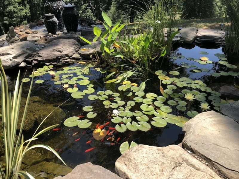 Koi Pond Construction In Kansas City, MO Gradex Company