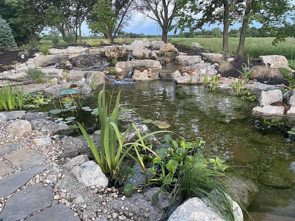 still shot of pond in bob and melissa's backyard