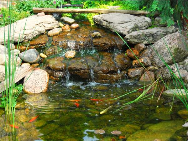 What is a Koi Pond and How it Differs From Other Ponds?