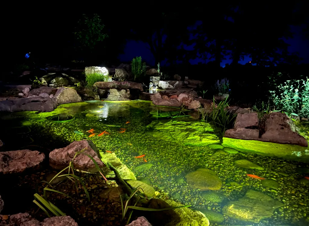 Koi fish swimming in a pond at night, lit up with underwater light features.
