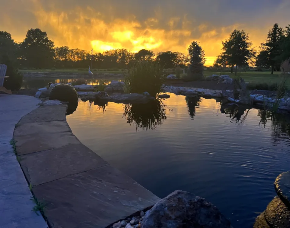 A swimming pond at sunset