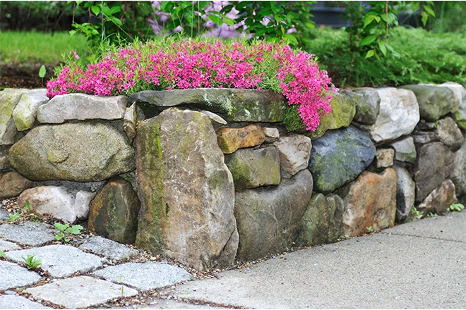 Short boulder retaining wall forming a natural area